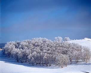 20111228_0047