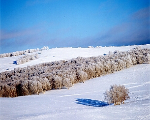 20111228_0169
