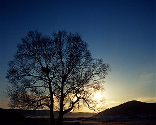 20111228_0194