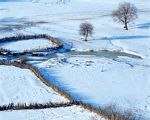 20111228_0204