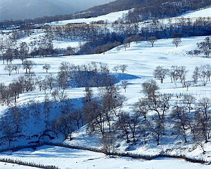 20111228_0206