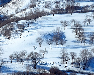 20111228_0208
