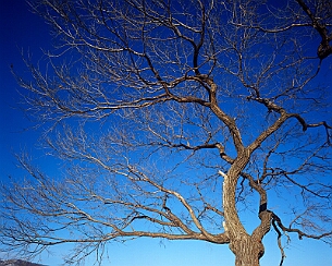 20111228_0254