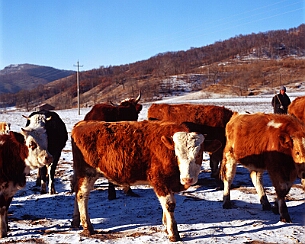 20111228_0002