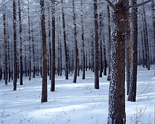 20111228_0011
