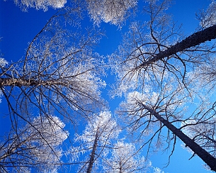 20111228_0014