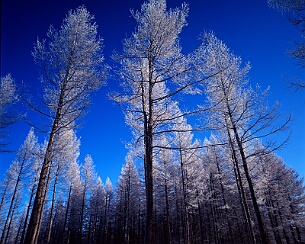 20111228_0016