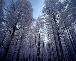 20111228_0019