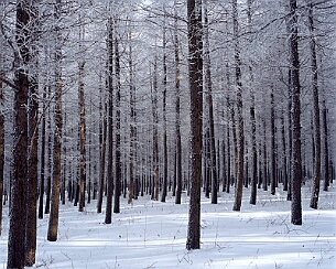 20111228_0025