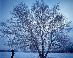 20111228_0108