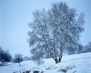 20111228_0132