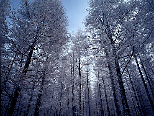 壩上．承德．金山嶺長城
