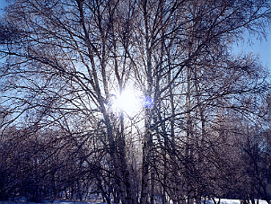 三拐子溝、銀窩溝、鐵匠舖 San Guai Zi Gou, Yin Wo Gou, Tie Jiang Pu