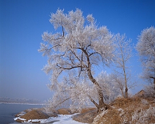 20090102_0136
