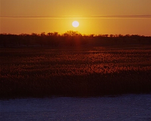 20090102_0276