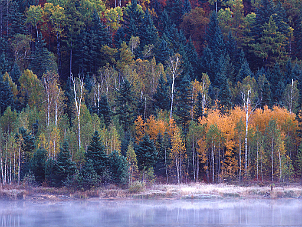 黑龍江．伊春．哈爾濱