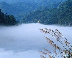 20120703_0131
