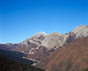 20081108_0001