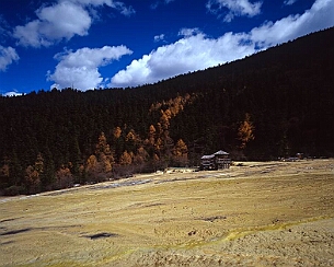 20081108_0024