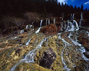 20081108_0051