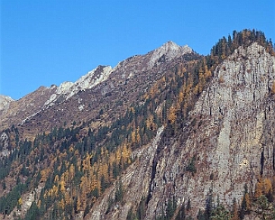 20081108_0041
