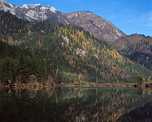 20081108_0042