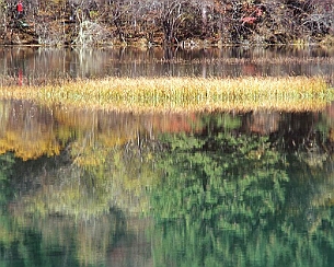20081108_0047