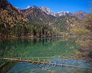20081108_0060