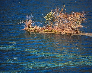 20081108_0062