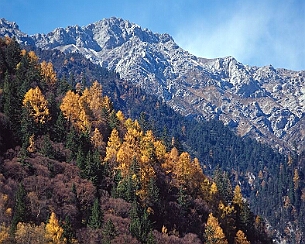 20081108_0063