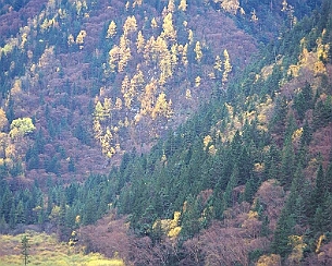 20081108_0071