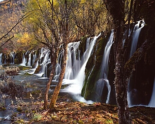 20081108_0075