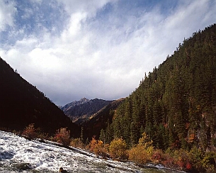 20081108_0086