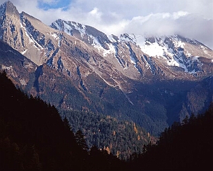 20081108_0098
