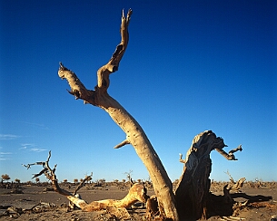20091019_0370