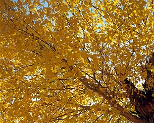 20091019_0230