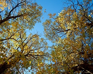 20091019_0247