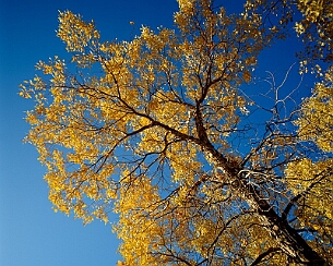 20091019_0249