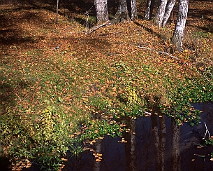 20181005_150