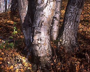 20181005_159