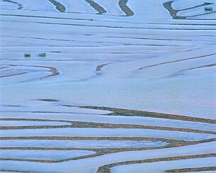 20130520_245