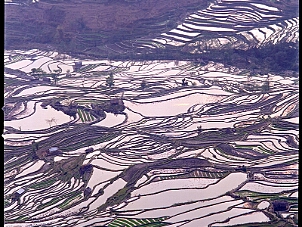 老虎嘴梯田 Lao Hu Zui Terrace