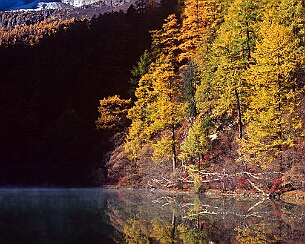 20121031_0147cropped