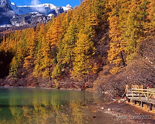 20121031_0157cropped