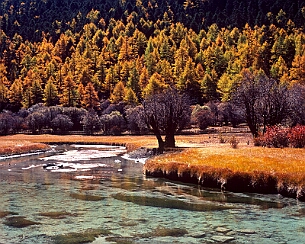 20121031_0168