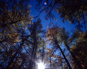 20121031_0184
