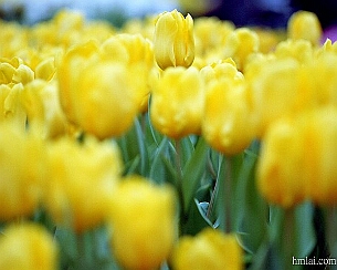 20110320_0026
