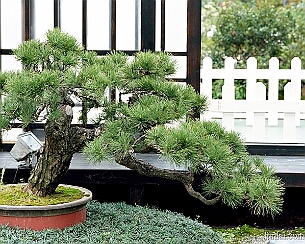 20110320_0043