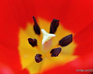 20110320_0053