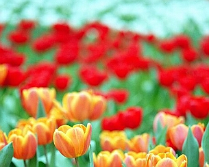 20110320_0059